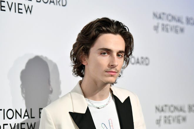 Actor Timothée Chalamet attends the 2020 National Board Of Review Gala on January 08, 2020 in New York City.