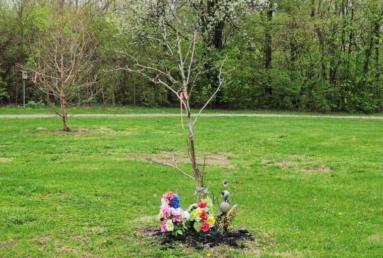 Markham memorial tree.jpg